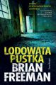 Lodowata pustka