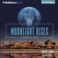 Moonlight Rises