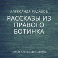 Рассказы из правого ботинка (сборник)