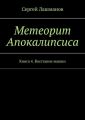 Метеорит Апокалипсиса. Книга 4. Восстание машин