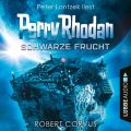 Schwarze Frucht, Dunkelwelten - Perry Rhodan 2 (Ungekurzt)