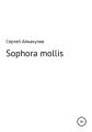 Sophora mollis