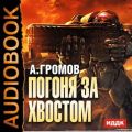 Погоня за хвостом