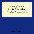 Gute Vorsatze