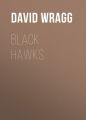 Black Hawks (Articles of Faith, Book 1)