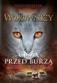 Wojownicy. Cisza przed burza