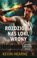 Rozdziobia nas loki, wrony