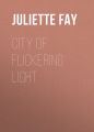 City of Flickering Light