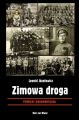 Zimowa droga
