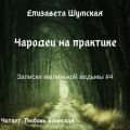 Чародеи на практике
