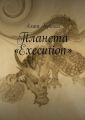  Execution