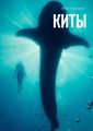 Киты