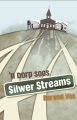 'n Dorp soos Silwer Streams