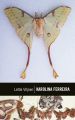 Klassiek reeks: Karolina Ferreira