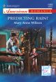Predicting Rain?