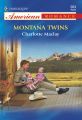 Montana Twins
