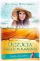 Stacja Jagodno Tom 7 Uczucia zaklete w kamieniu