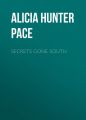 Secrets Gone South