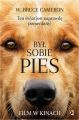 Byl sobie pies. Ten swiat jest naprawde pomerdany