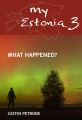 My Estonia 3. What Happened?