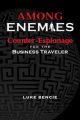 Among Enemies: Counter-Espionage for the Business Traveler