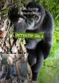 DetektifGila. Detektif lucu