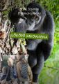 Lokopo kikowaena. Ho?ike kulohelohe
