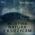 Martwa natura z ksiezycem