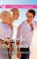 Shelter In The Tropics