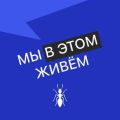 Выпуск № 05 сезон 2  Социально-свадебный