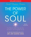 Power of Soul