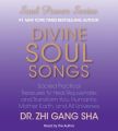 Divine Soul Songs