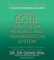 Divine Soul Mind Body Healing and Transmission Sys