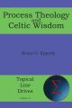 Process Theology and Celtic Wisdom