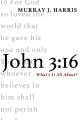 John 3:16