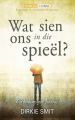 Wat sien ons in die spieel