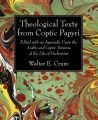 Theological Texts from Coptic Papyri