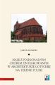 Hale z poligonalnym chorem zintegrowanym w architekturze gotyckiej na terenie Polski