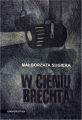 W cieniu Brechta. Niemieckojezyczny dramat powojenny 1945-1995