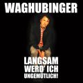 Stefan Waghubinger, Langsam werd' ich ungemutlich!