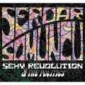 Serdar Somuncu, Sexy Revolution & The Politics