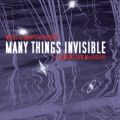 Many Things Invisible