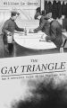 THE GAY TRIANGLE  Spy & Adventure Tales of the Fearless Trio 