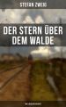 Der Stern uber dem Walde: Eine Liebesgeschichte