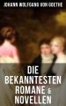 Die bekanntesten Romane & Novellen