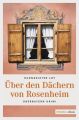 Uber den Dachern von Rosenheim