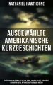 Ausgewahlte amerikanische Kurzgeschichten