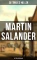 Martin Salander (Historischer Roman)