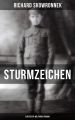 Sturmzeichen (Ein Erster-Weltkrieg-Roman)