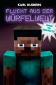 Flucht aus der Wurfelwelt